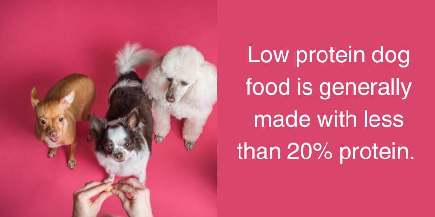 low protein dog food
