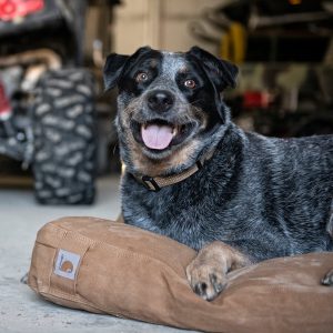 Carhartt Pillow Dog Bed