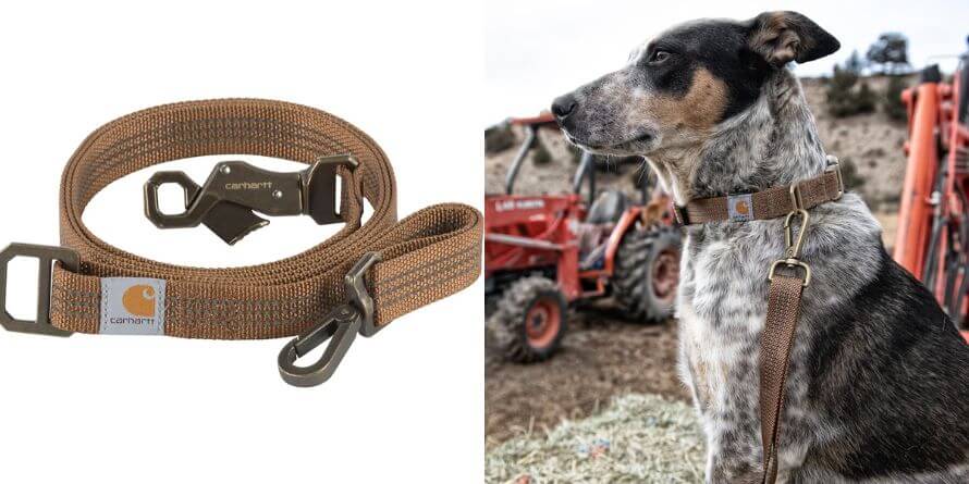 Carhartt Dog Leash