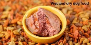 how to make dry dog food