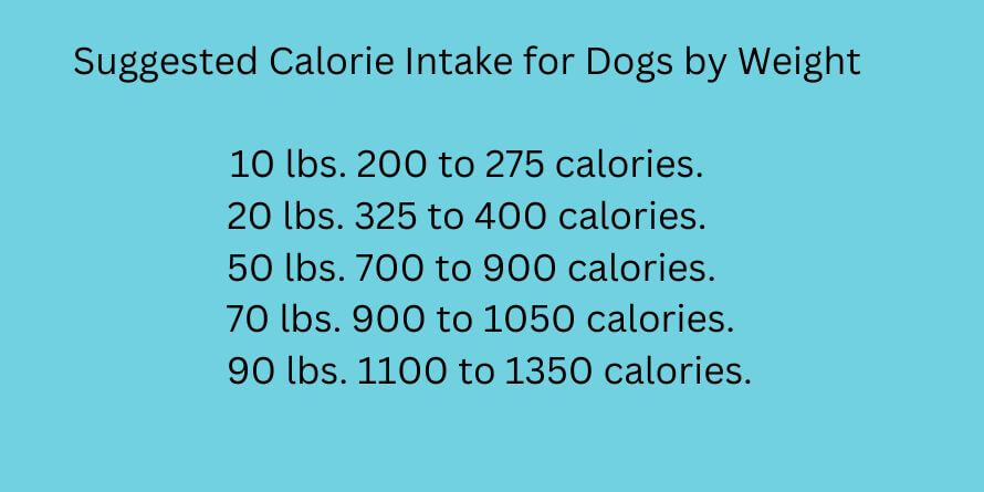 dog calorie intake chart 