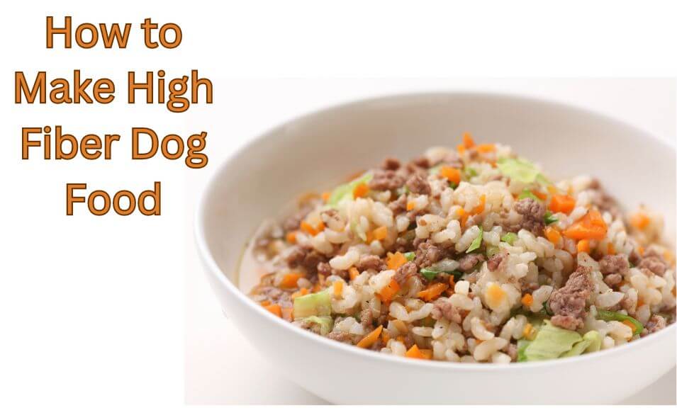 homemade high fiber dog food recipe