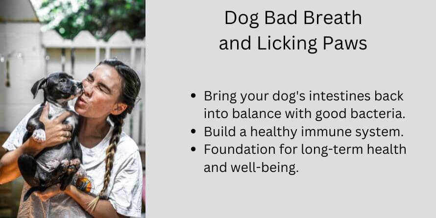 dog bad breath and licking paws
