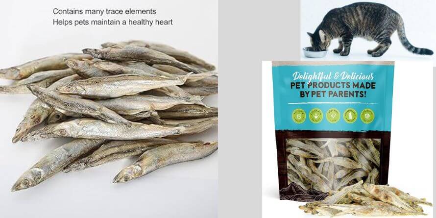 Freeze Dried Minnows Good for Cats