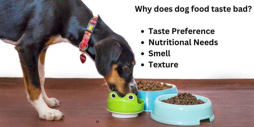 dog food taste bad