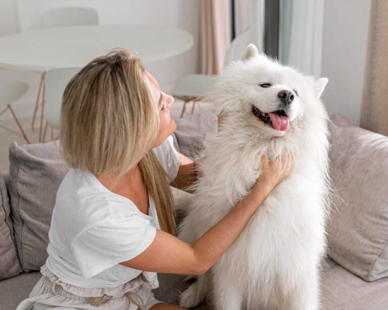 best behaved dog breeds