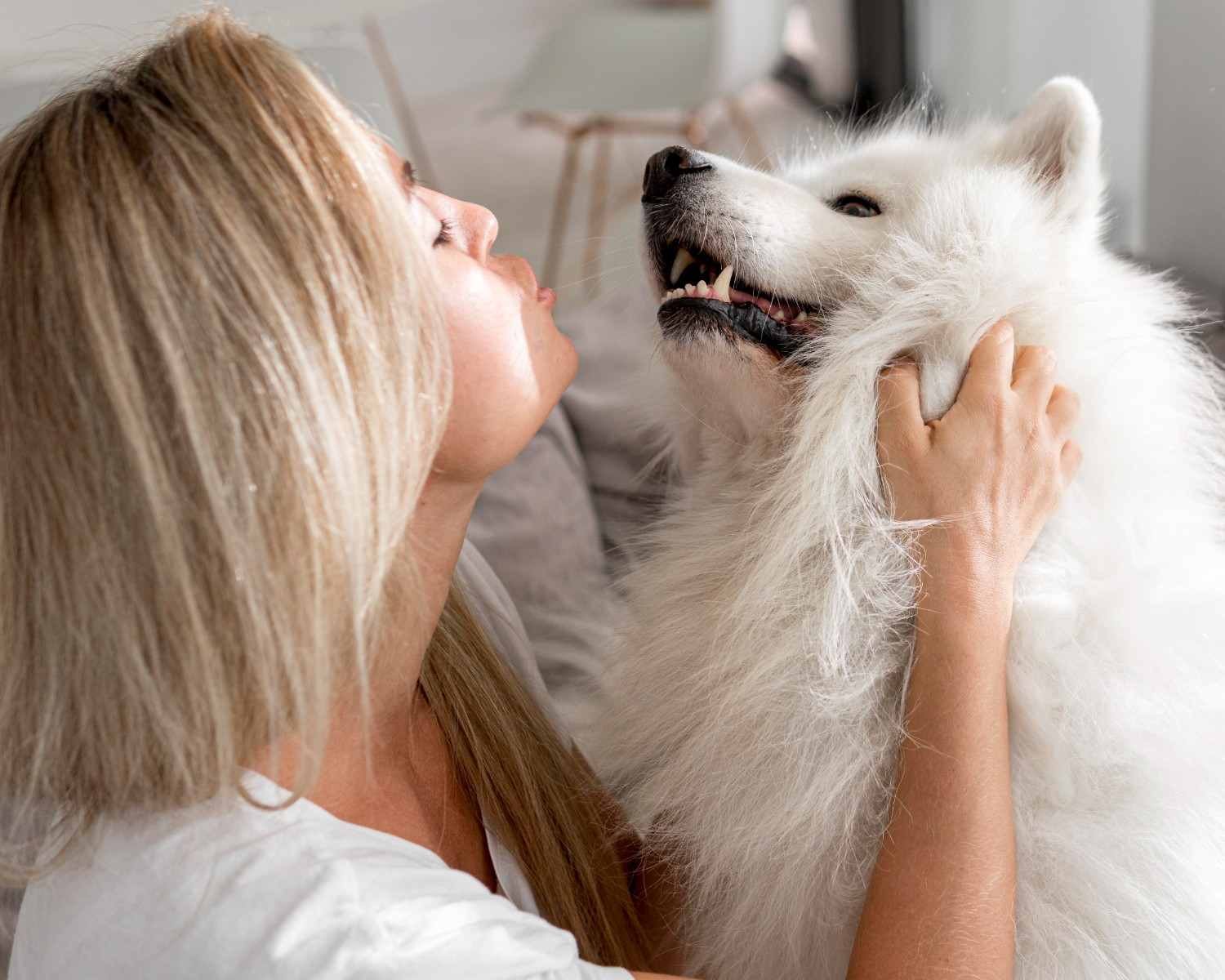 what is the most affectionate dog breed