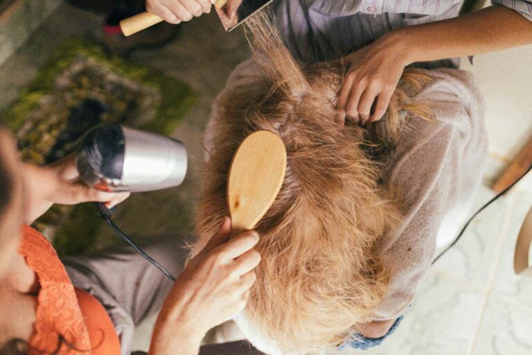 dog grooming items